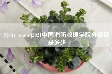 滕州2021中国消防救援学院分数线是多少