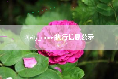 滕州执行信息公示