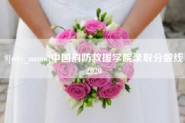 滕州中国消防救援学院录取分数线2020