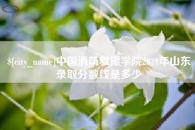 滕州中国消防救援学院2021年山东录取分数线是多少