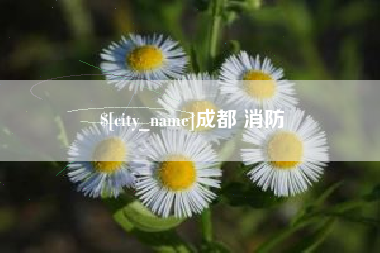 滕州成都 消防