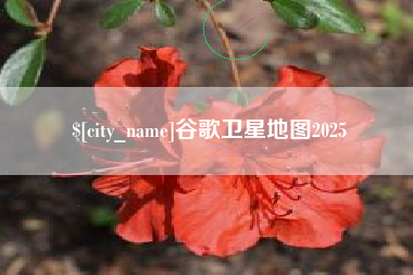 滕州谷歌卫星地图2025