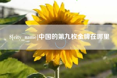 滕州中国的第九枚金牌在哪里