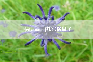 滕州九宫格盘子