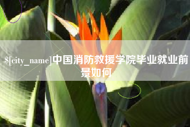 滕州中国消防救援学院毕业就业前景如何