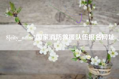 滕州国家消防救援队伍报名网址