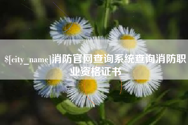 滕州消防官网查询系统查询消防职业资格证书