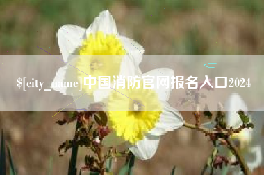 滕州中国消防官网报名入口2024