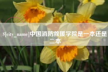 滕州中国消防救援学院是一本还是二本