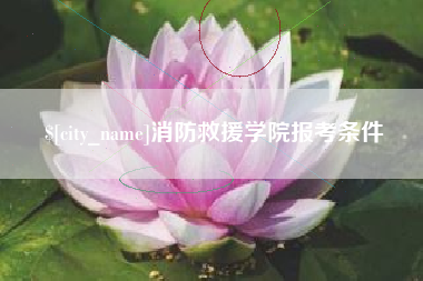 滕州消防救援学院报考条件