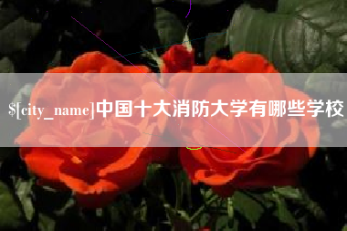 滕州中国十大消防大学有哪些学校