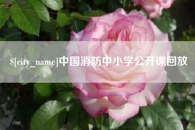 滕州中国消防中小学公开课回放