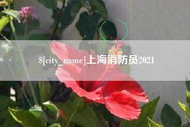 滕州上海消防员2021
