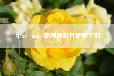 滕州我国消防日是每年的