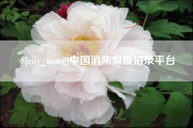 滕州中国消防救援招录平台