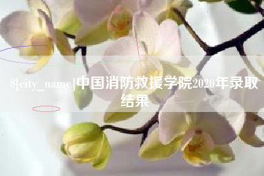 滕州中国消防救援学院2020年录取结果
