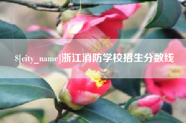 滕州浙江消防学校招生分数线