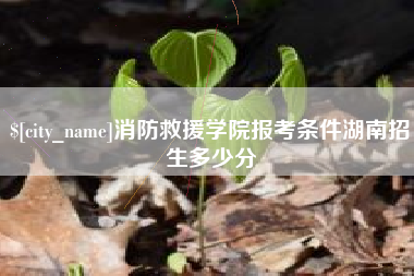 滕州消防救援学院报考条件湖南招生多少分