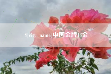 滕州中国金牌18金