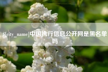 滕州中国执行信息公开网是黑名单吗
