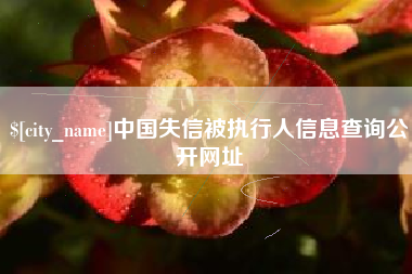 滕州中国失信被执行人信息查询公开网址