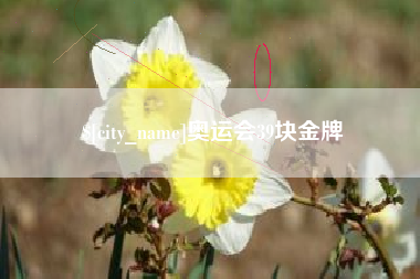 滕州奥运会39块金牌