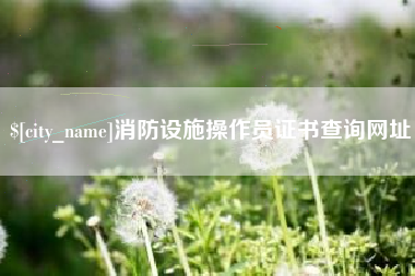 滕州消防设施操作员证书查询网址