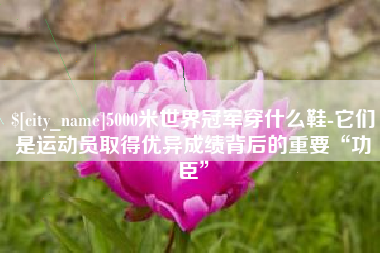滕州5000米世界冠军穿什么鞋-它们是运动员取得优异成绩背后的重要“功臣”
