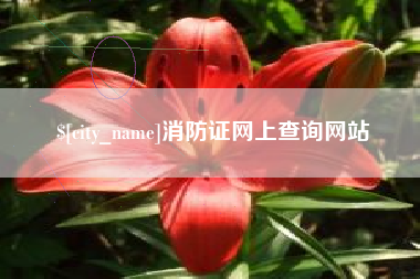 滕州消防证网上查询网站