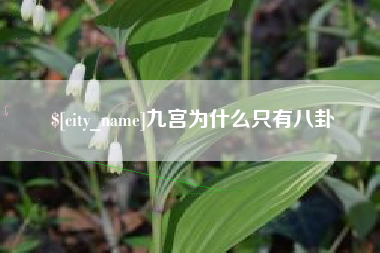 滕州九宫为什么只有八卦