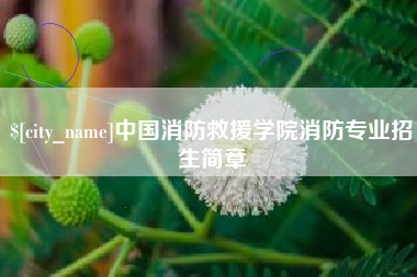 滕州中国消防救援学院消防专业招生简章