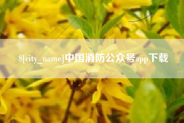 滕州中国消防公众号app下载