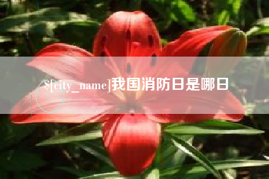 滕州我国消防日是哪日