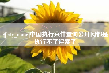 滕州中国执行案件查询公开网都是执行不了得案子