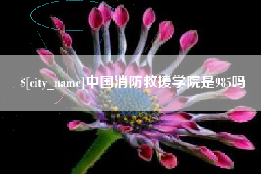 滕州中国消防救援学院是985吗