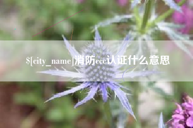 滕州消防ccc认证什么意思
