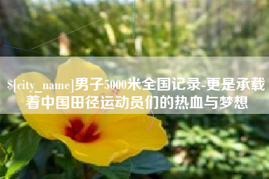 滕州男子5000米全国记录-更是承载着中国田径运动员们的热血与梦想