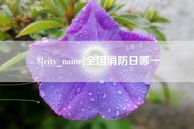 滕州全国消防日哪一
