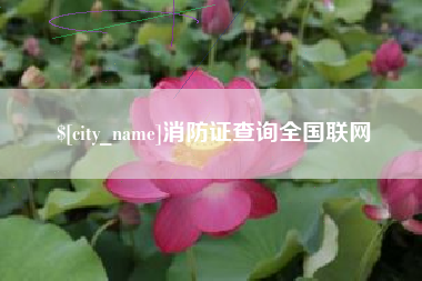 滕州消防证查询全国联网