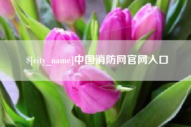 滕州中国消防网官网入口