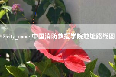 滕州中国消防救援学院地址路线图