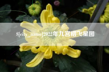 滕州2022年九宫格飞星图