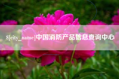 滕州中国消防产品信息查询中心