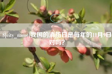 滕州我国的消防日是每年的11月9日对吗？