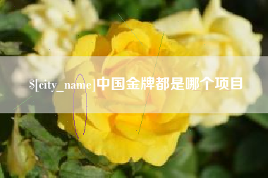 滕州中国金牌都是哪个项目