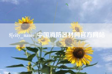滕州中国消防器材网官方网站