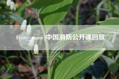滕州中国消防公开课回放