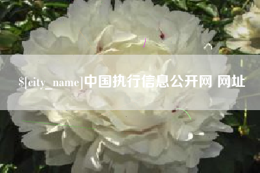 滕州中国执行信息公开网 网址