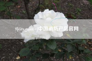 滕州中国消防产品官网