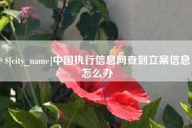 滕州中国执行信息网查到立案信息怎么办